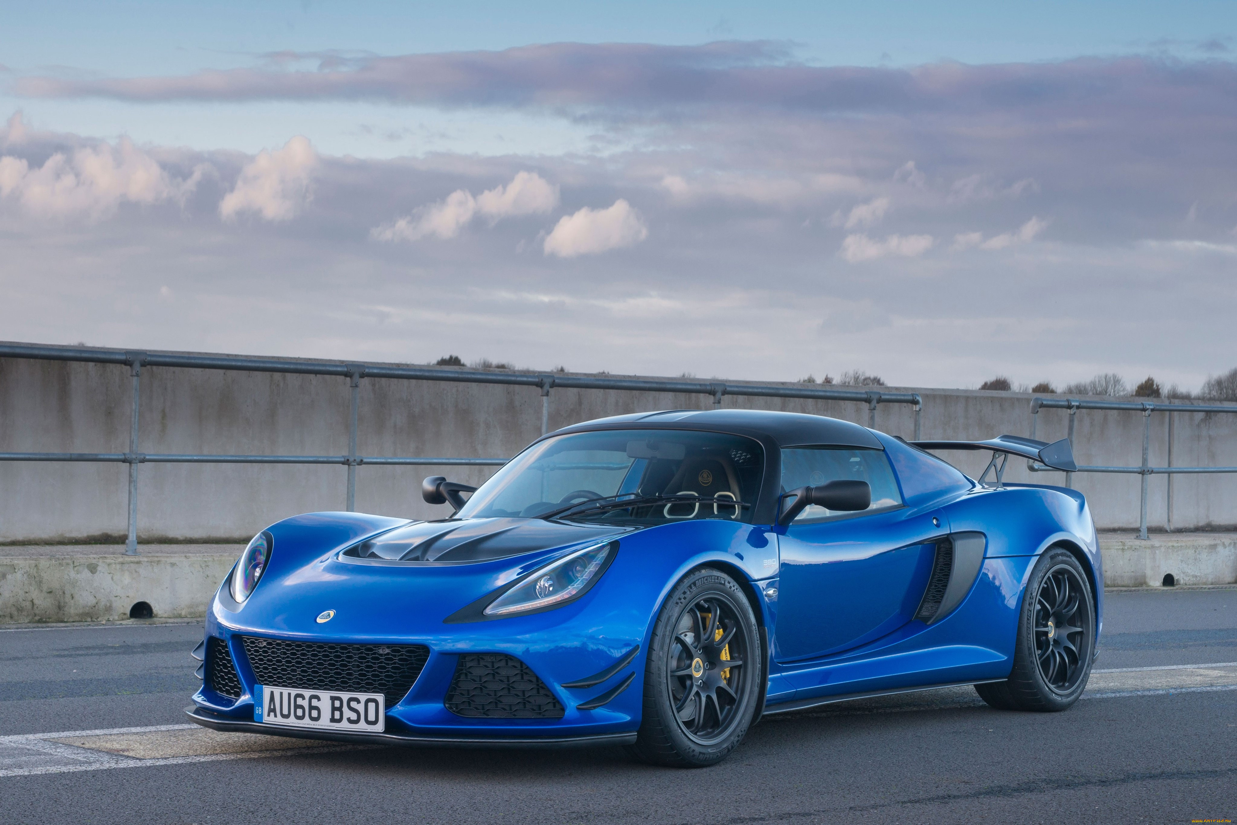 , lotus